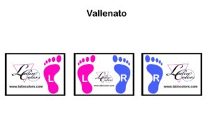 03 Vallenato