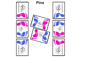 15 PIÑA